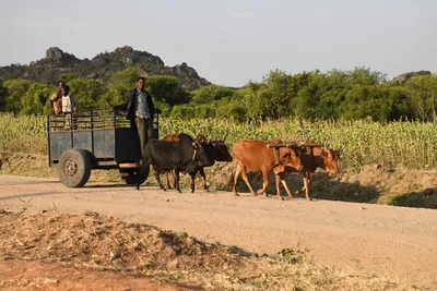 DSC_3061 (Large).JPG